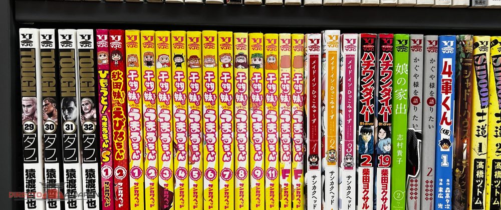 Lomos de manga japonés en una estantería de segunda mano