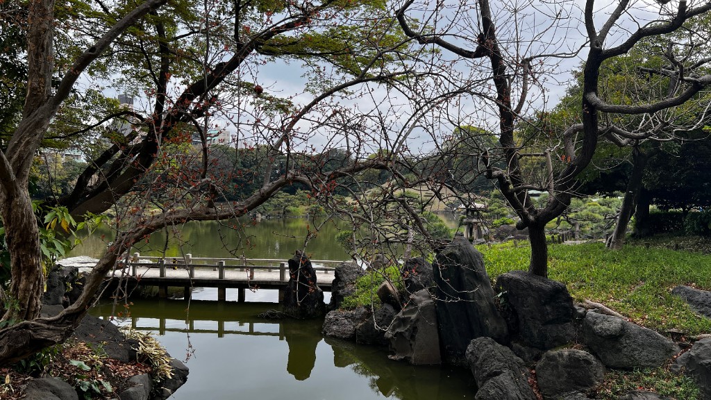 Puente de madera sobre el estanque del jardín Kiyosumi, visto entre ramas, con rocas en primer plano.