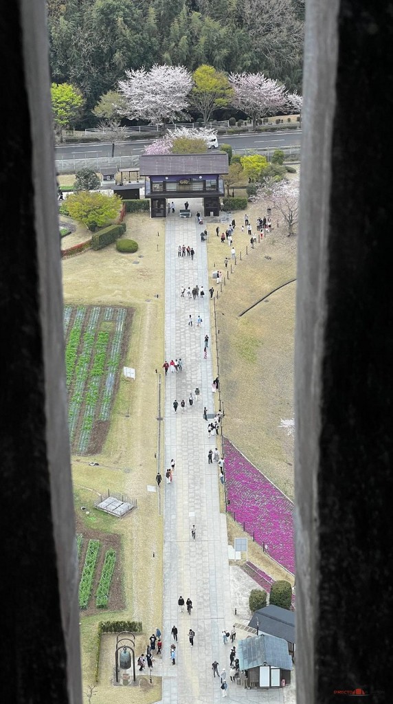 Vista del camino de acceso desde una ventana del Buda