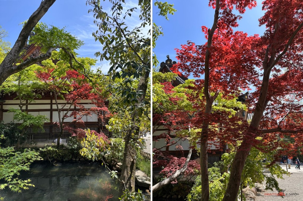 El entorno de Jindaiji, entre edificios tradicionales, agua y vegetación.