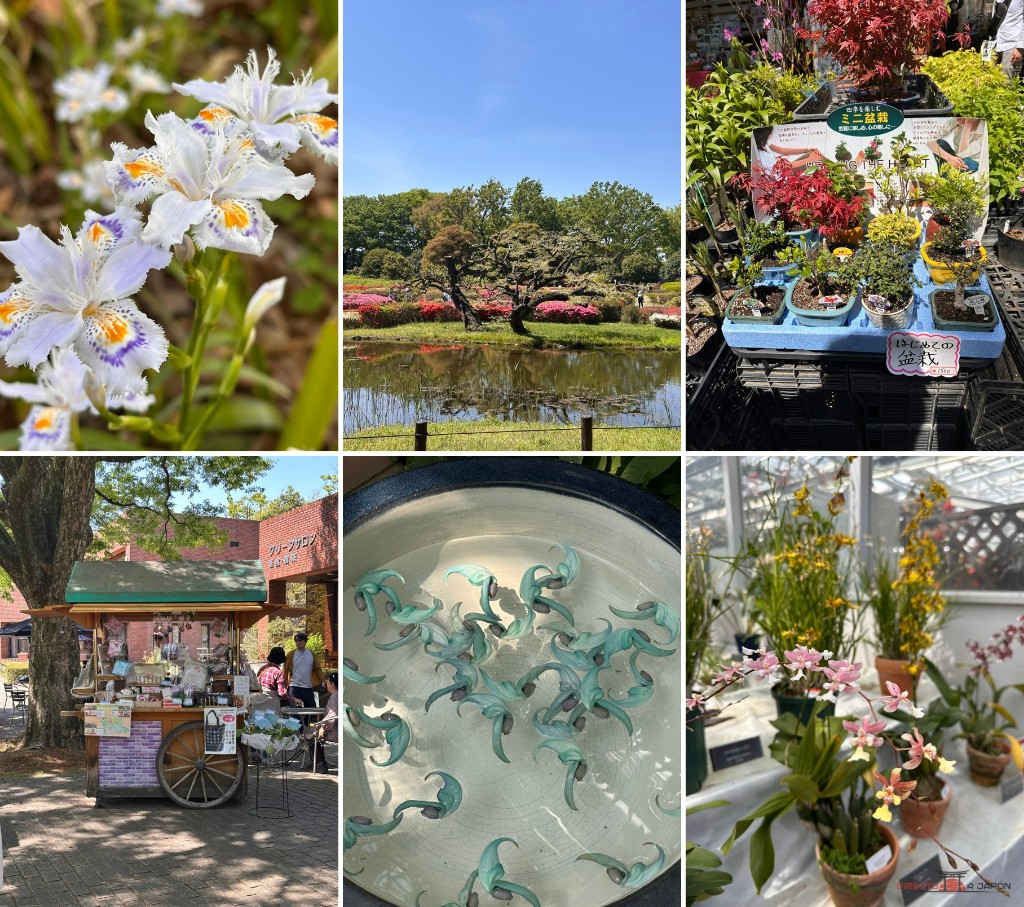 Distintos rincones del Jardín Botánico Jindai, incluida la zona de invernaderos.