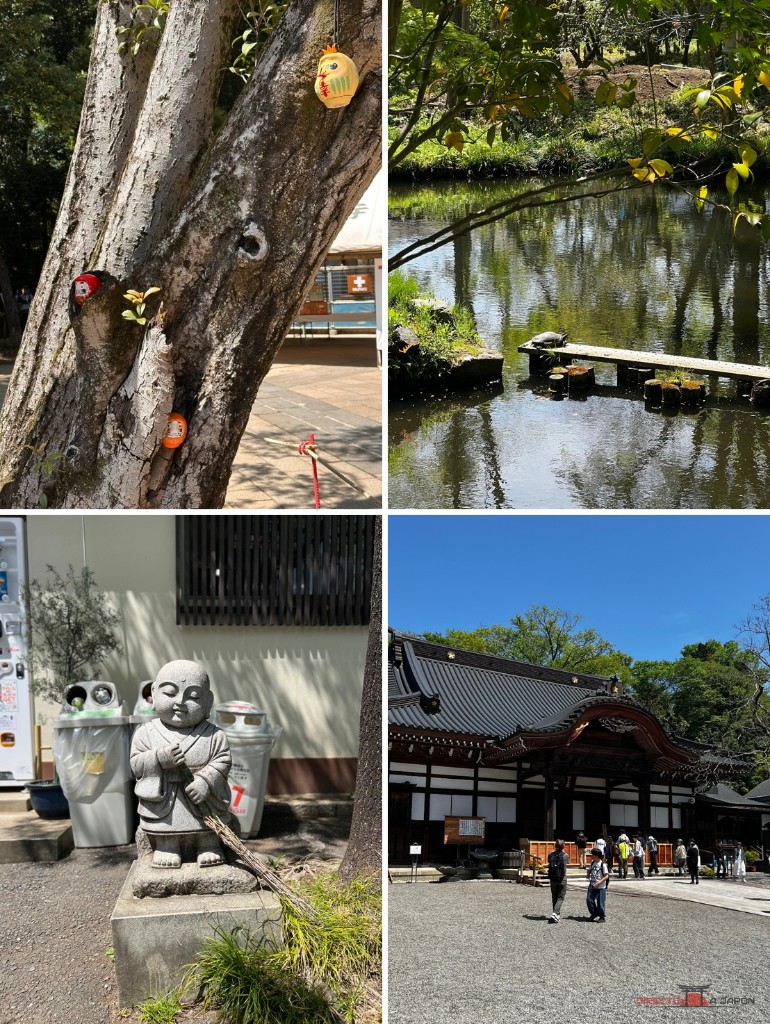 El árbol con darumas, una tortuga del estanque, una estatua con escoba y uno de los edificios de Jindaiji.