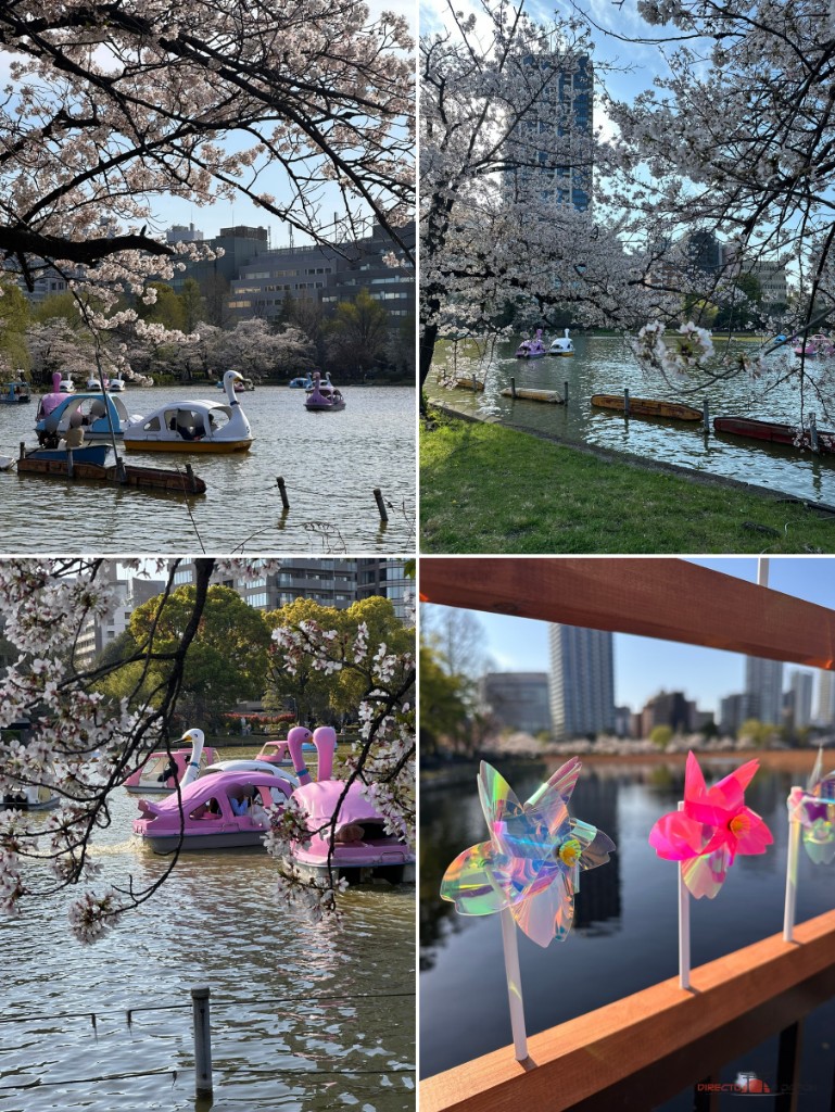 Ueno durante nuestra visita de primeros de abril de 2026, con el sakura en pleno apogeo.