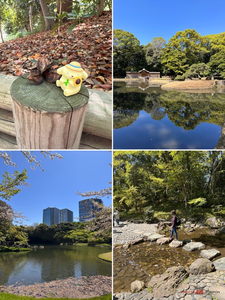 Koishikawa Korakuen en abril de 2026: Pompompurin, la puerta Karamon, el estanque con sakura y el paso de piedras sobre el arroyo.