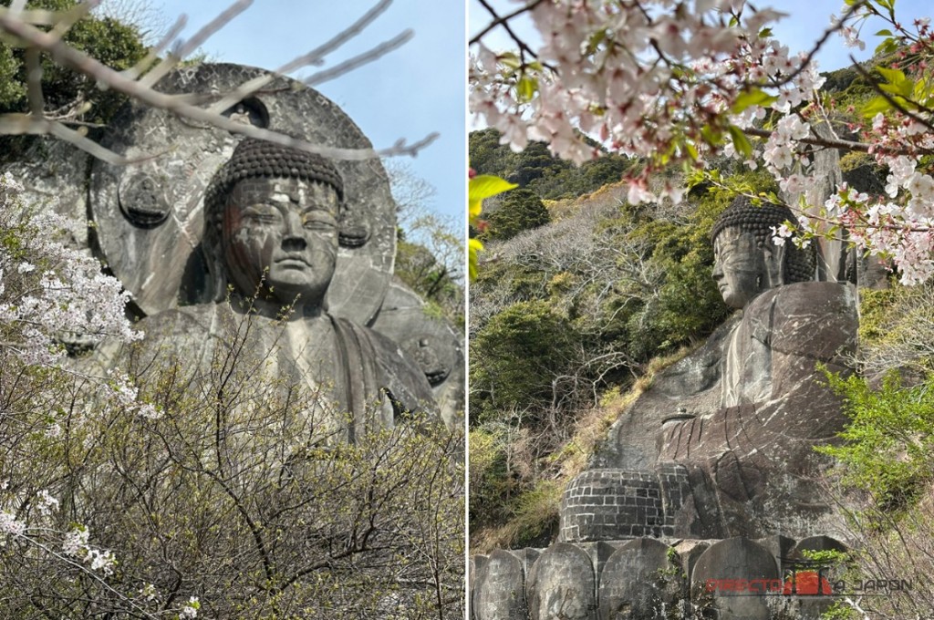 El gran buda entre los cerezos