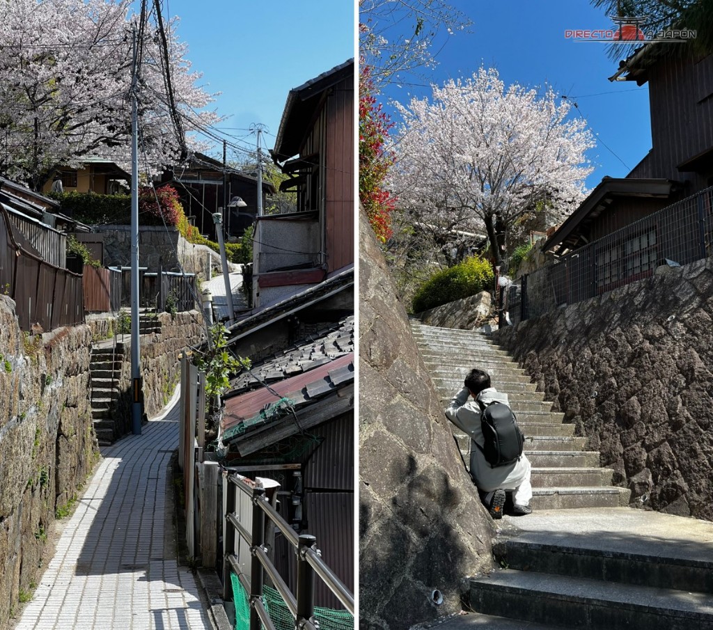 Callejuelas y escaleras entre los templos, con cerezos en flor.
