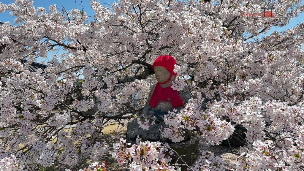 Figuras de Jizo y cerezos durante nuestra visita de abril de 2024.