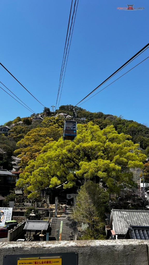 El teleférico de Senkojiyama sube a la parte alta.