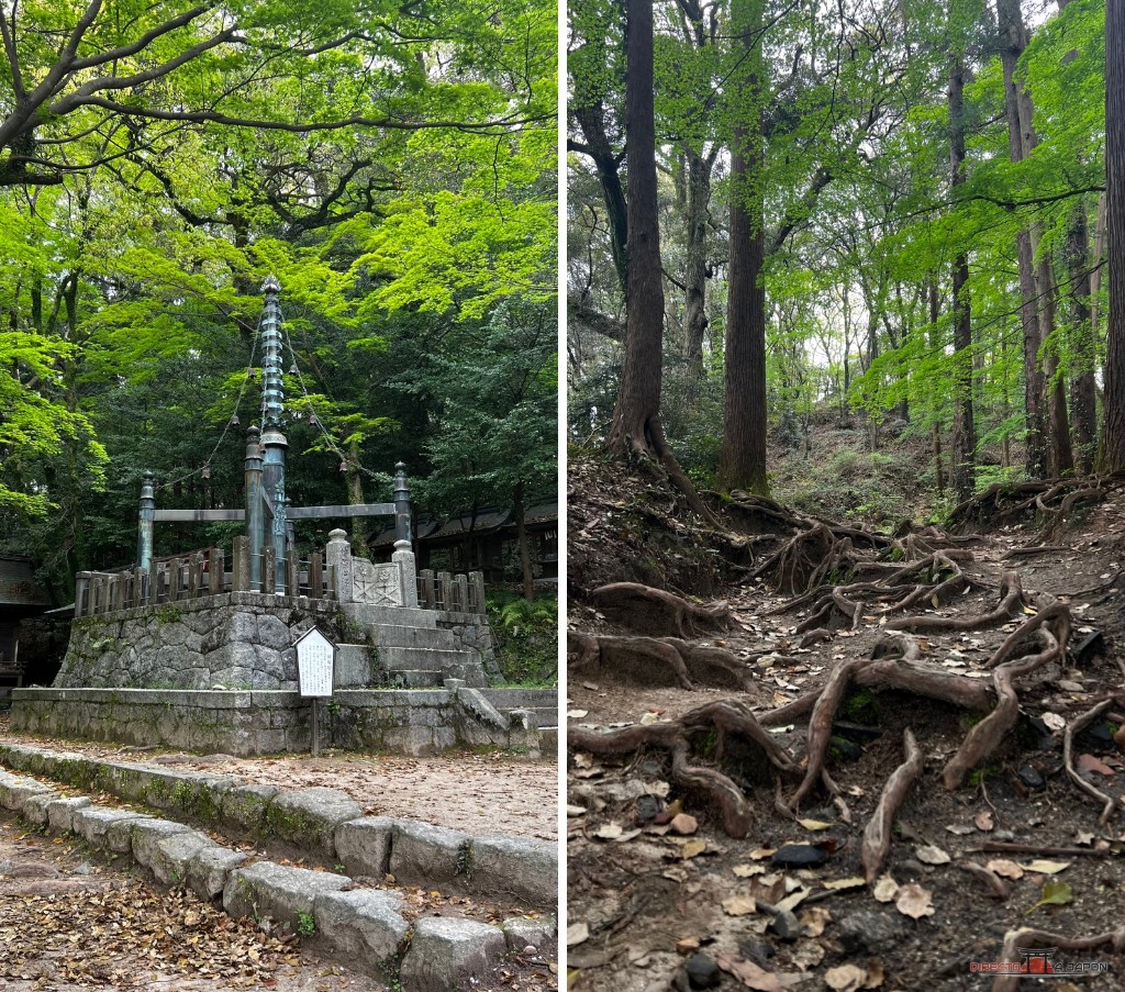 Monumento sorinto y sendero de raíces en la zona posterior de Dazaifu Tenmangu