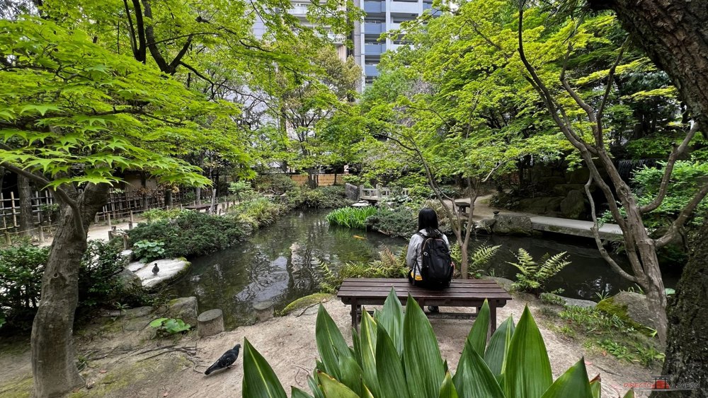 Estanque con carpas y un banco en el jardín Rakusuien de Fukuoka.