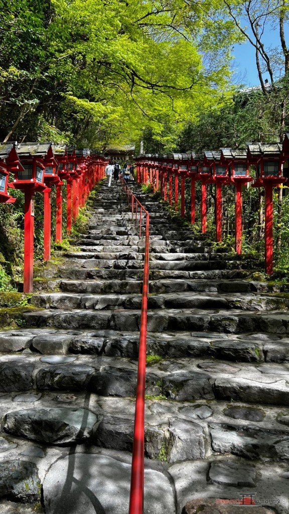 Escalera de piedra con farolillos rojos del santuario Kifune