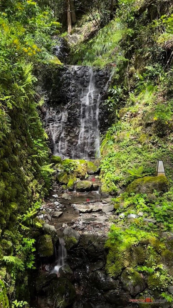 Cascada entre rocas cubiertas de musgo y vegetación en Kibune