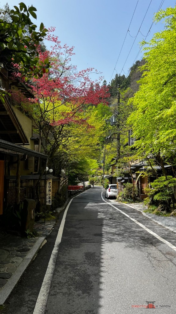 Calle de Kibune entre casas tradicionales y vegetación de primavera