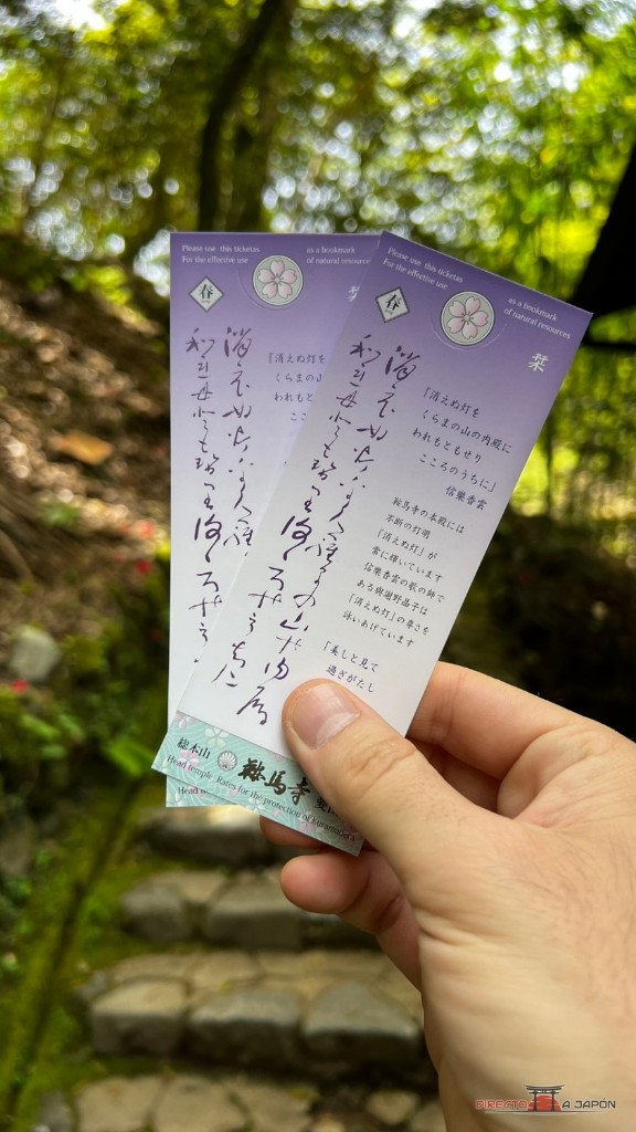 Dos entradas de Kurama con ilustraciones de flores de primavera