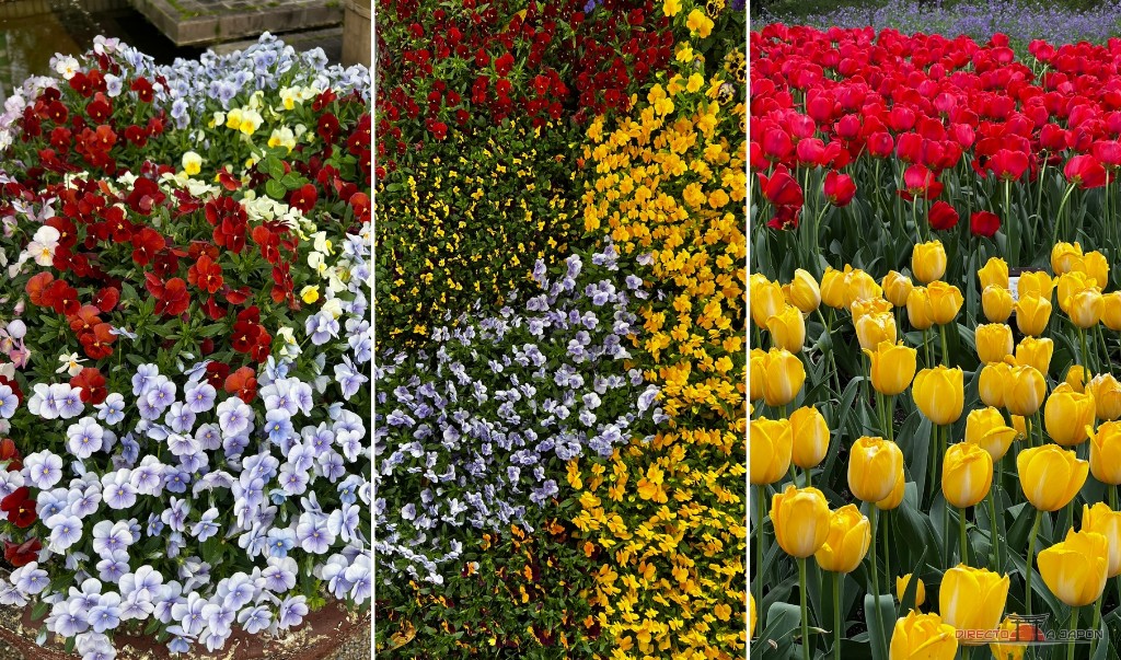 Tres fotografías de flores de primavera en el Jardín Botánico de Kioto