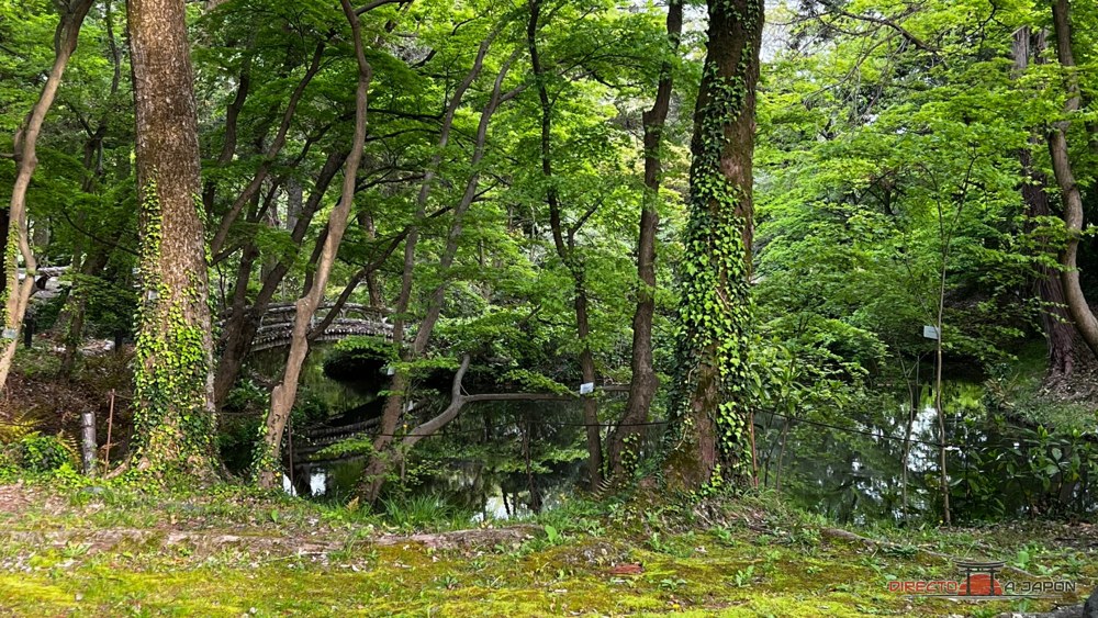 Puente de piedra sobre un estanque del Jardín Botánico de Kioto