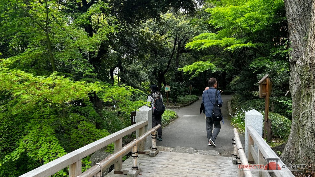 Puente junto al estanque y la vegetación de Tokugawa-en
