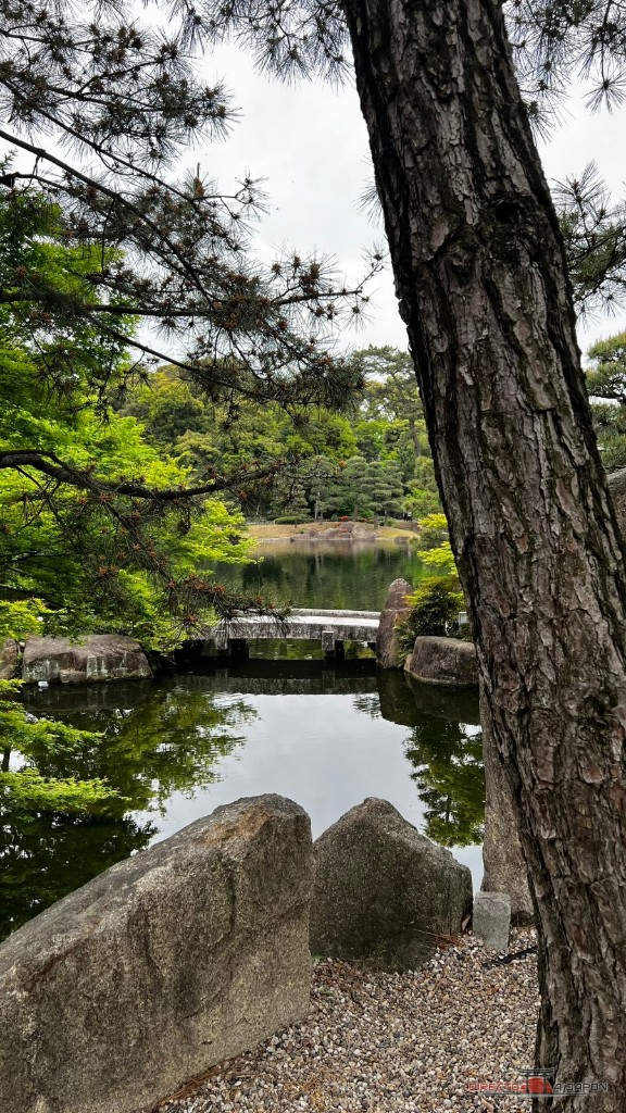 Puente de piedra y pino junto al agua en Tokugawa-en