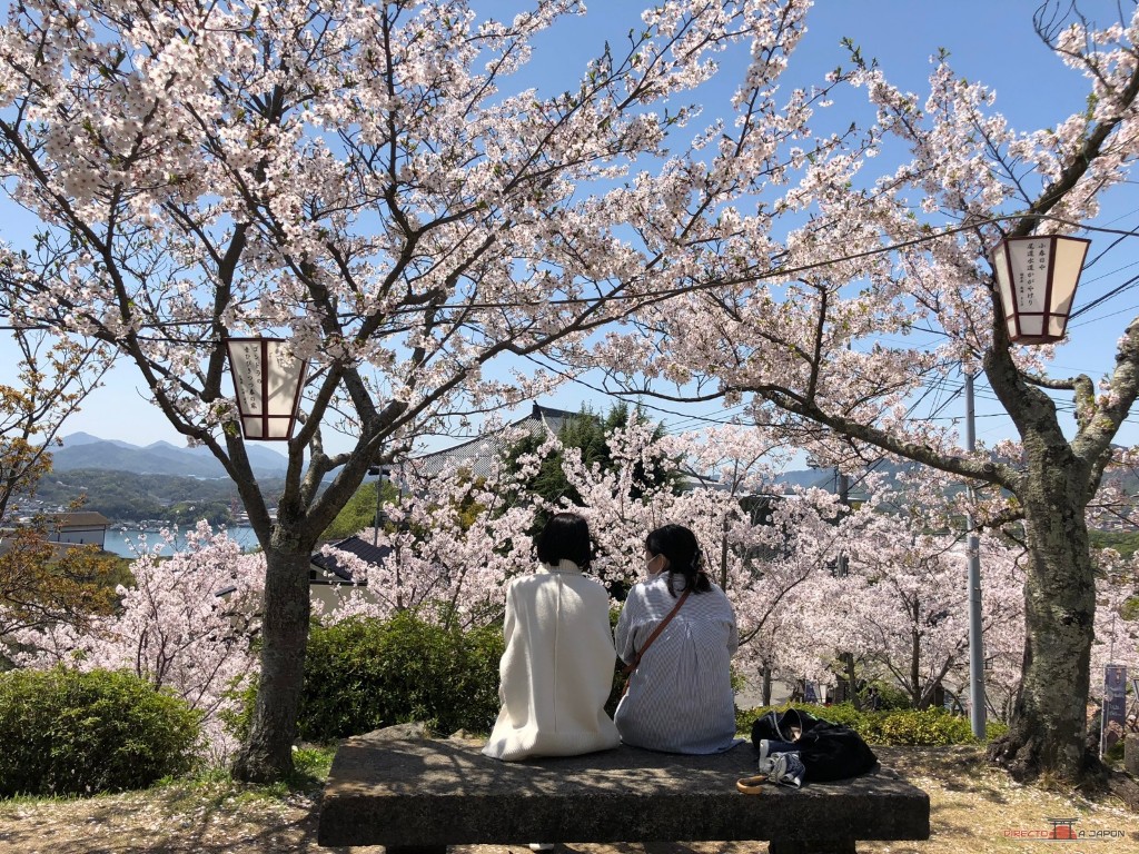 Dos personas de espaldas sentadas en un banco de piedra bajo los cerezos en flor del parque de Senkoji, con vistas al canal de Onomichi