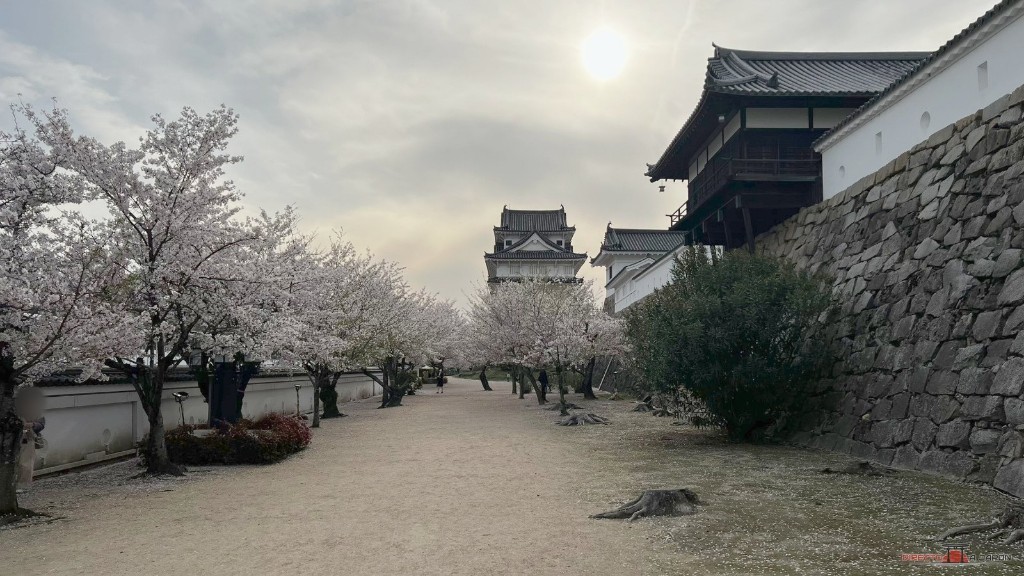 Camino de los terrenos del castillo de Fukuyama a contraluz