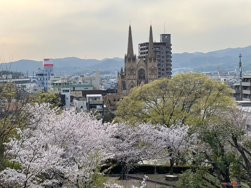 Vistas del castillo de Fukuyama entre cerezos