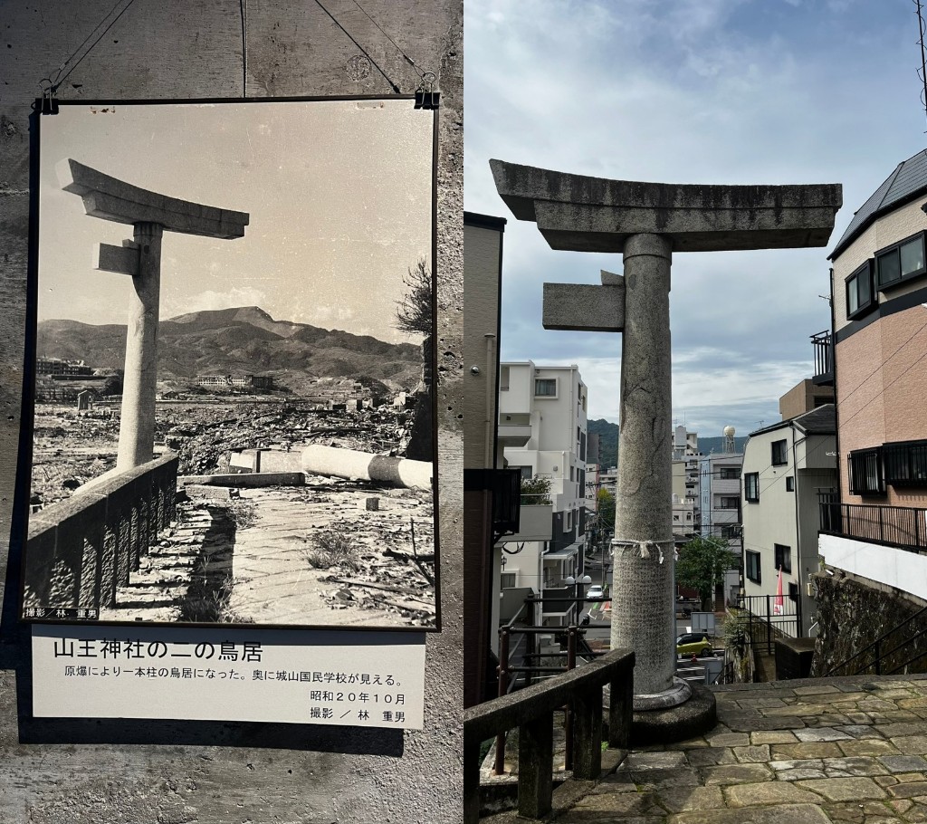 collage 12 16 sanno torii antes despues v2