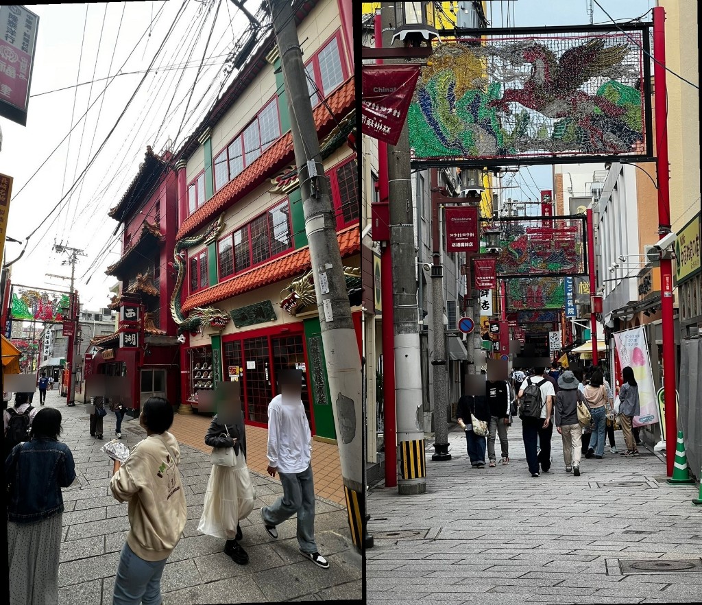 collage 47 48 v2