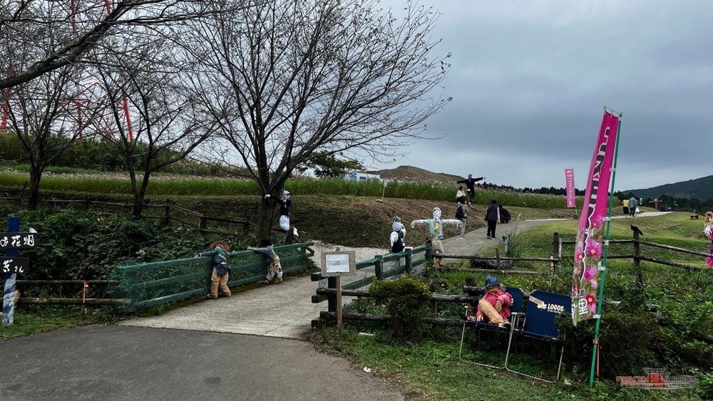 Parque con campo de espantapájaros y cerezos de fondo en Nishihara