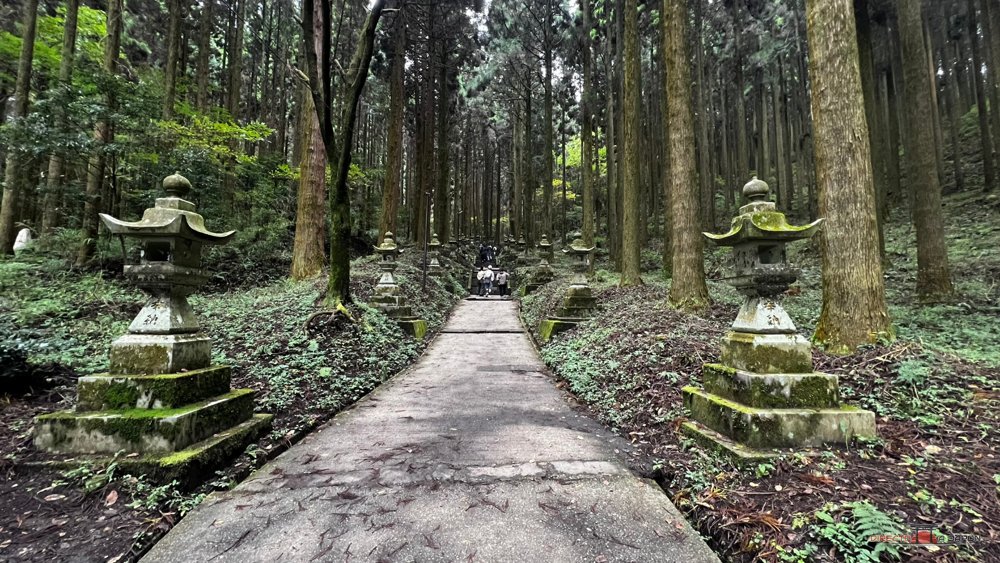 Camino de losas entre faroles de piedra con musgo y cedros altos en el santuario Kamishikimi Kumanoza