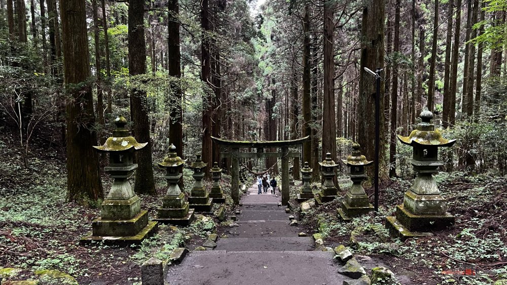 Torii al fondo de un camino de losas con faroles de piedra a los lados entre cedros altos