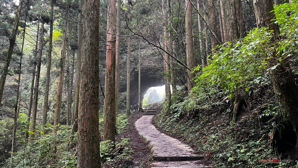 Camino empedrado entre cedros y helechos que sube hacia una abertura luminosa en la roca