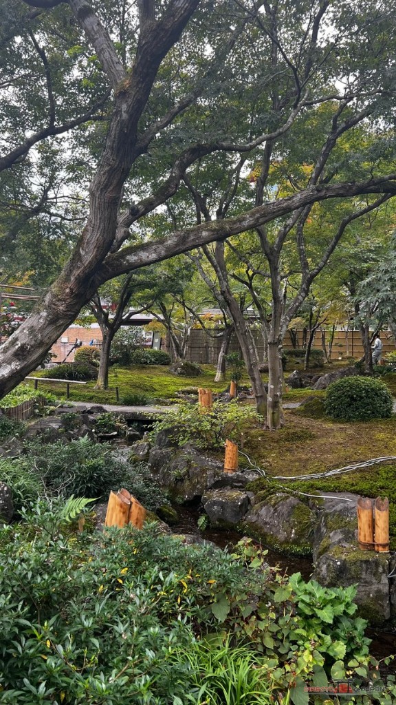 Jardín japonés con un árbol de tronco retorcido, musgo y un arroyo junto al santuario