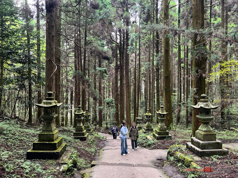 Camino de tierra y piedra entre faroles y cedros, con dos visitantes a lo lejos