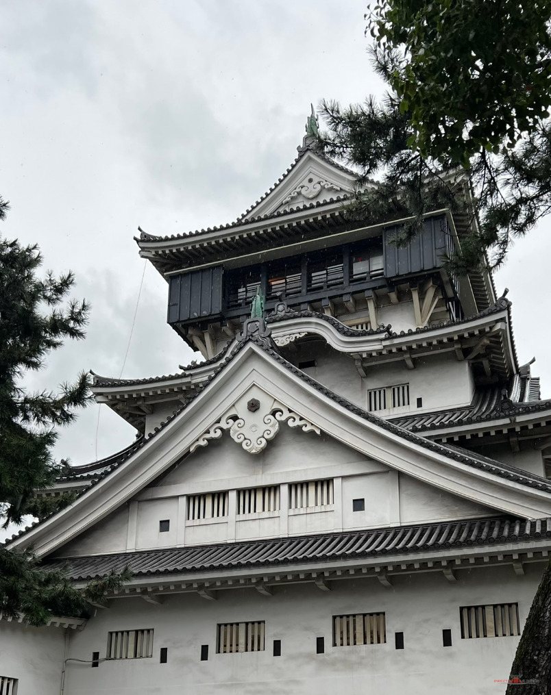 Torre del castillo de Kokura, reconstruida en 1959, vista desde abajo entre los pinos del recinto
