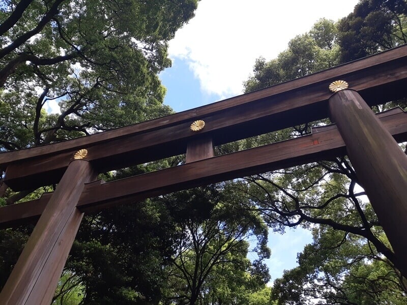 Puerta torii del santuario Meiji de Tokyo