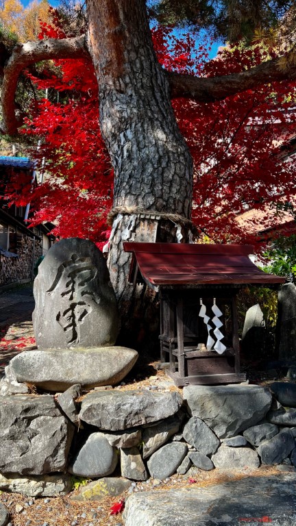 Detalle en un templo de Narai Juku