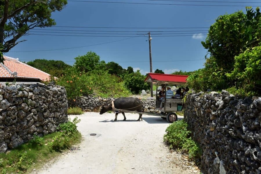 Calles de la villa principal en la isla de Taketomi