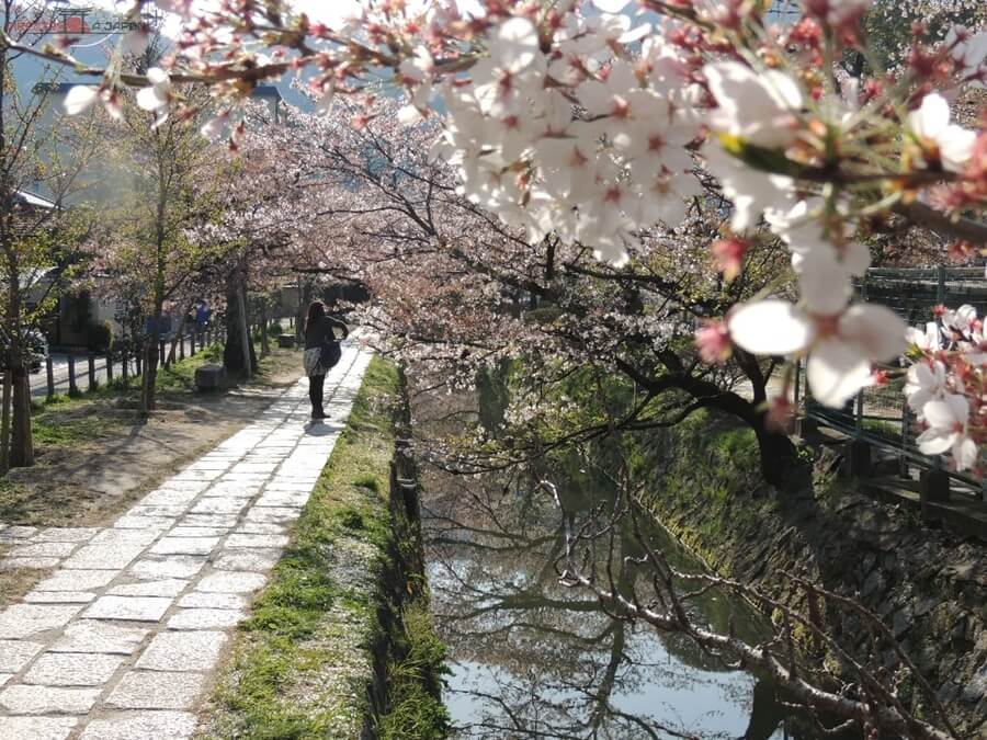 Guía de Kioto | Paseo del filósofo o de la filosofía