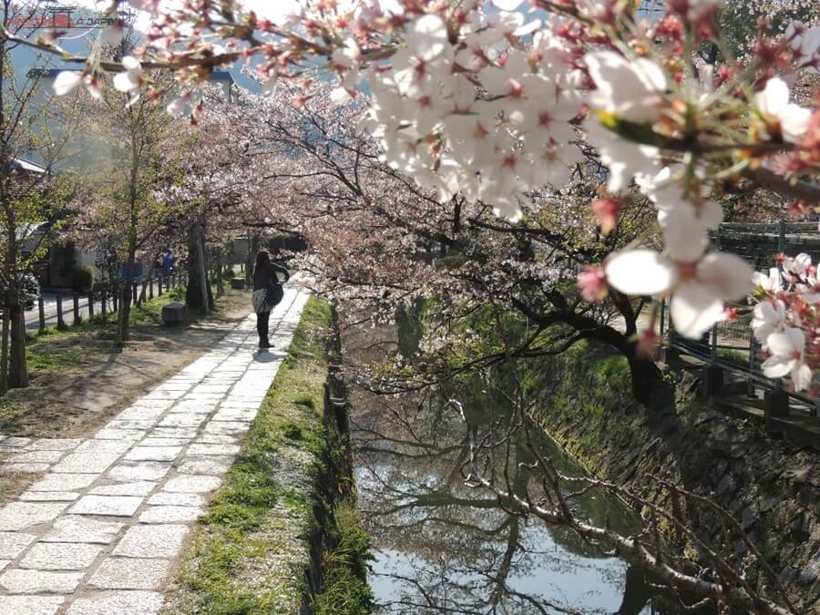 Guía de Kioto | Paseo del filósofo o de la filosofía