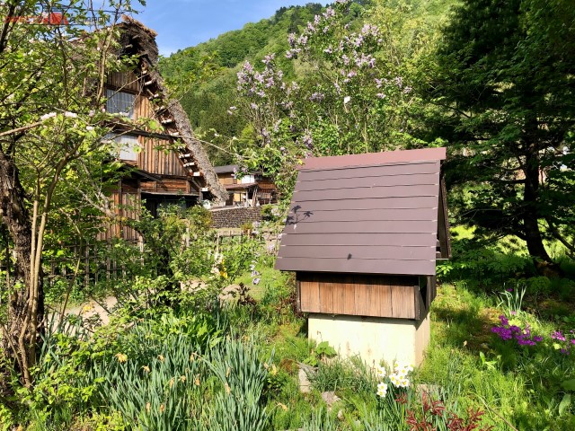 Casas tradicionales en Shirakawa Go