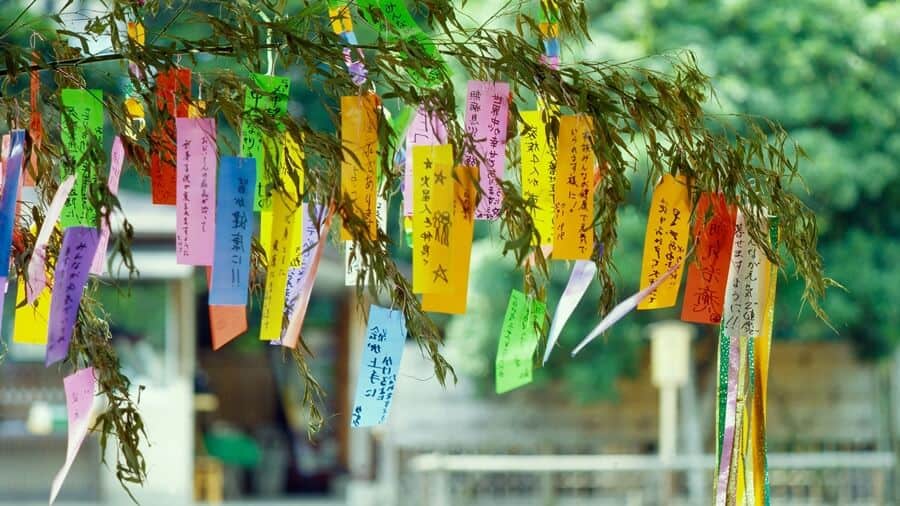 Festival del Tanabata | Tiras tanzaku