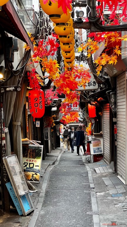 Omoide Yokocho en otoño