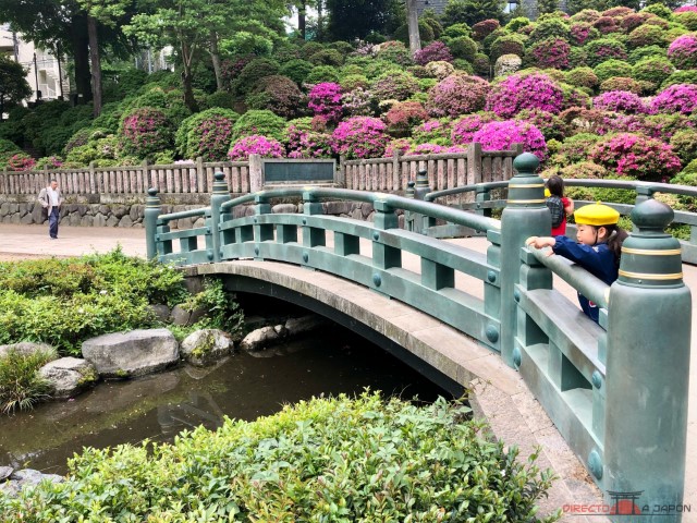 Puente y estanque a la entrada del Santuario Nezu de Tokio