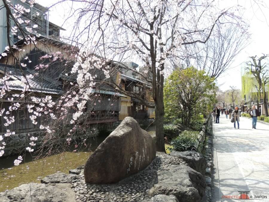 Qué ver en Kioto | Gion Shirakawa